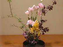 第9課やってみようの動画画像