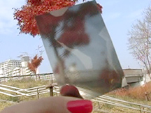 第14課これは何？の動画画像